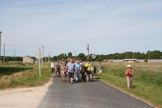 2015-07-06 rando anes (10).JPG